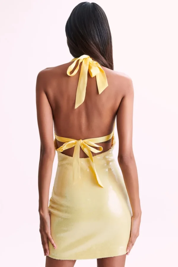 Women MESHKI Mini Dresses<Carleigh