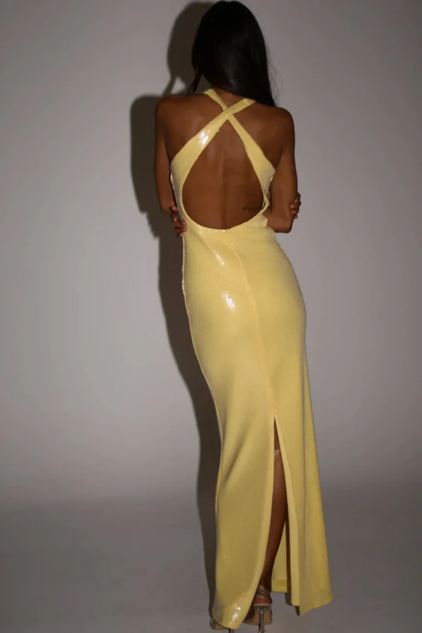 Women MESHKI Maxi Dresses<Eliza